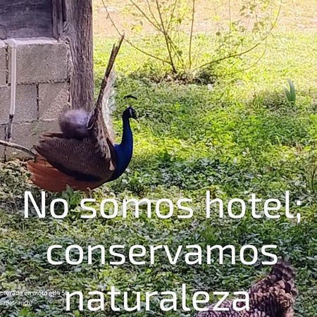 Отель Casados Ranch Эскарсега Экстерьер фото