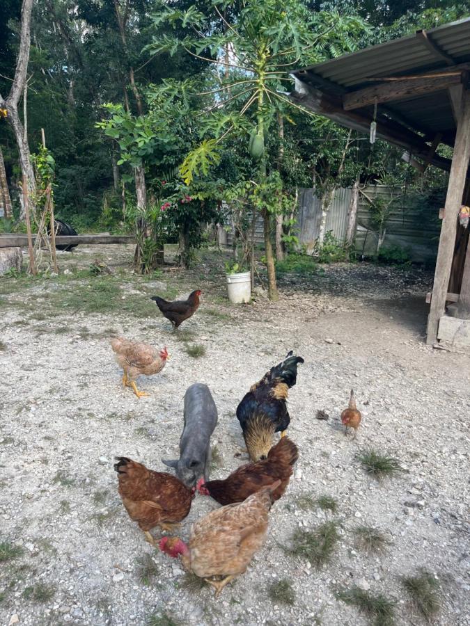 Отель Casados Ranch Эскарсега Экстерьер фото
