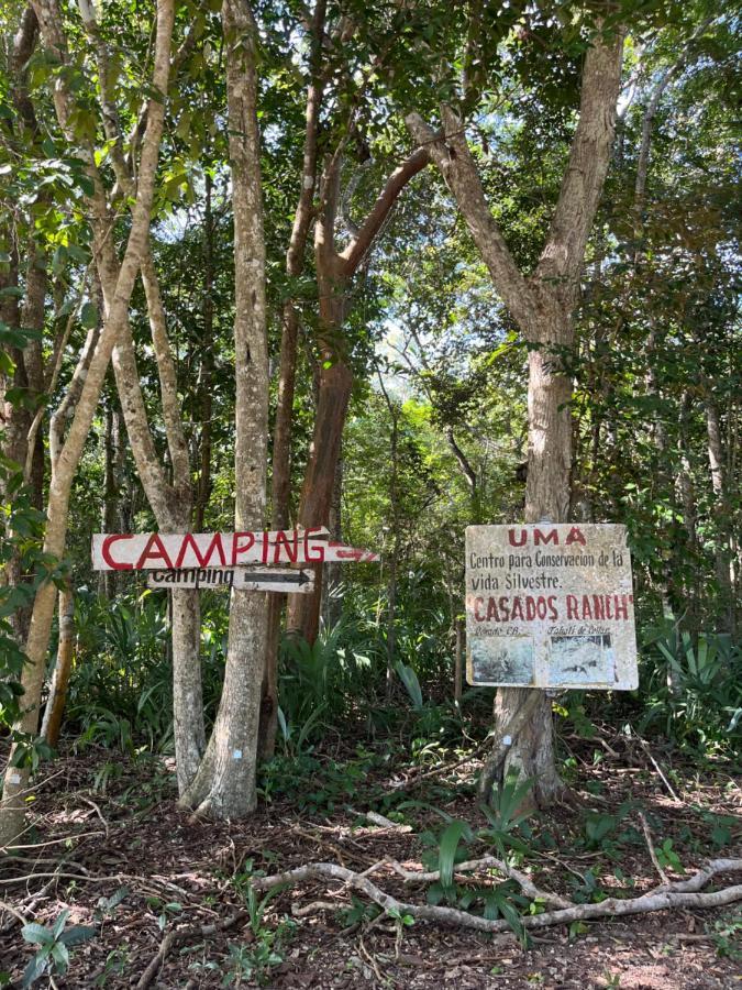 Отель Casados Ranch Эскарсега Экстерьер фото